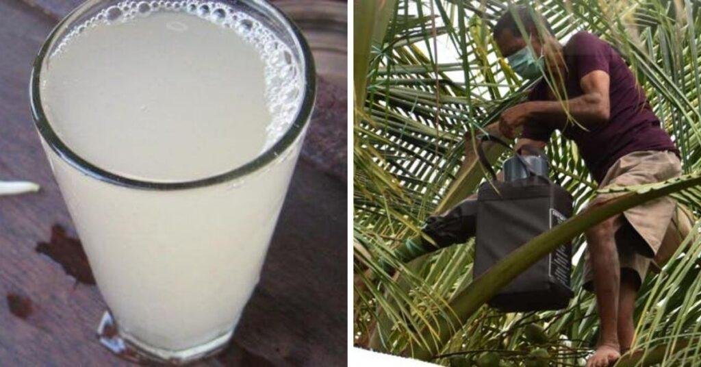 నీర కేఫ్ నిర్వహణకు టెండర్లు ఆహ్వానం