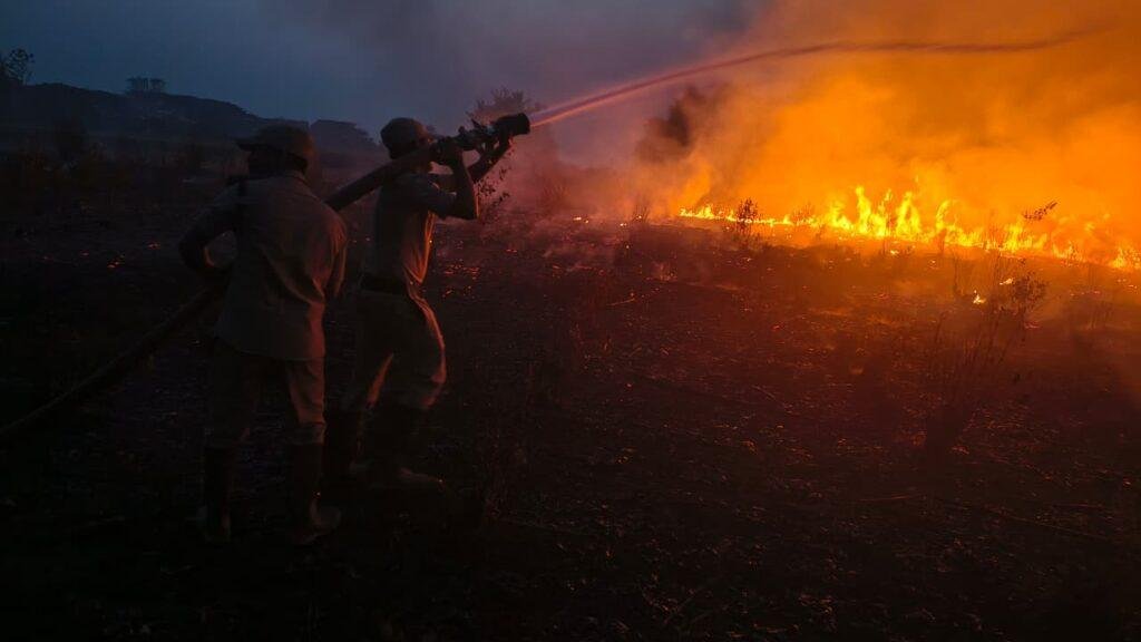  రామక్కపేటలో అగ్నిప్రమాదం – నీలగిరి తోట దగ్ధం